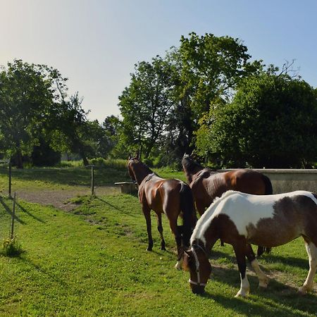 Farm Stay Zevnik Brežice Eksteriør bilde